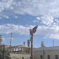 جویای کار در پتروشیمی هستم ‌