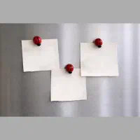 مگنت رو یخچالی کفشدوزک
