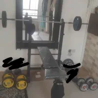دمبل  هالتر میز  پرس