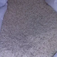 برنج هاشمی درجه1 دو الکه