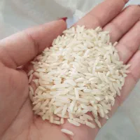 برنج هاشمی