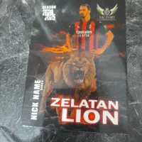 کارت ویکتوری