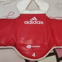 هوگو و کمربند