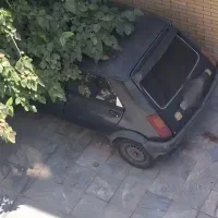 پی کی ۸۴