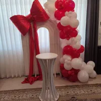 بادکنک آرایی و دیزاین تولد و گل آرایی مجالس