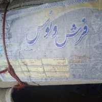 فرش|فرش|ساروق, |دیوار