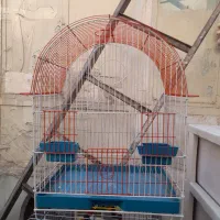 قفس پرنده