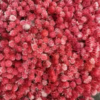 گرین وال رنگی گل رنگی یخی|گل مصنوعی|اصفهان, خواجو|دیوار