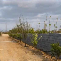 زمین-به-متراژ-800-متر-در-فرح-آباد