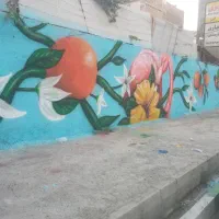دیوارنویسی  نقاشی دیواری و رنگ آمیزی