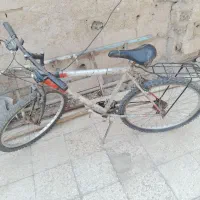 دوچرخه سالم