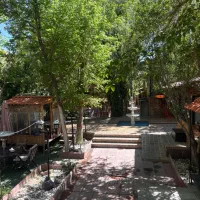 صندقدار رستوران