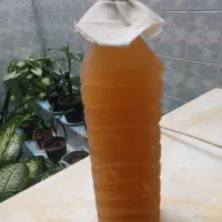 آبغوره ۳۵۰ت