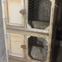 قفس