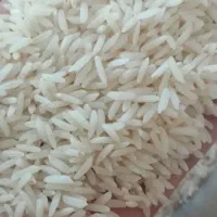 برنج هاشمی آستانه اشرفیه دهکا