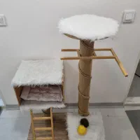 اسکرچر و درخت گربه