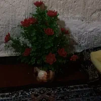 گلدان