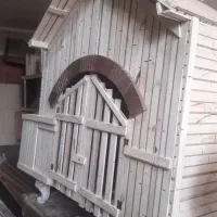 لانه مرغ وخروس