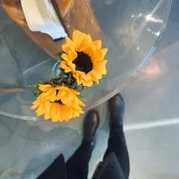 تدریس زبان انگلیسی