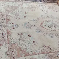 فرش|فرش|شاهین‌شهر, ۹ دی|دیوار