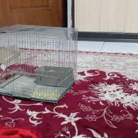 قفس پرنده