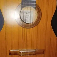 گیتار نو