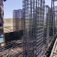 نگهبان حداقل ۵۰ سال برای شب فقط اتباع