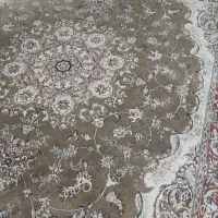 فرش ۹متری نگین مشهد