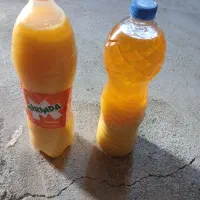 روغن حیوانی