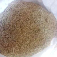 کاه نخود