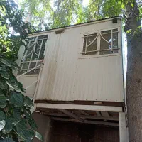 کانکس سالم وبدون پوسیدگی