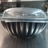 ظروف یکبار مصرف ساندویچی