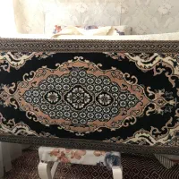 یک جفت پشتی سالم کم کارکرد