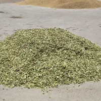 تفاله لیمو تر و خشک