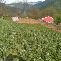 فروش زمین با موقعیت عالی