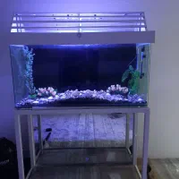 آکواریم  شیشه خم با لوازم