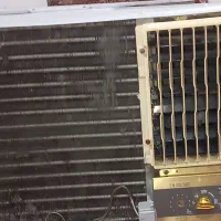 بندر ماشهر