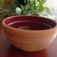 ظروف سفالی