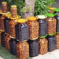 فروش سیرترشی امساله