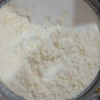 کره گاوی محلی