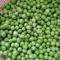 مواد غذایی