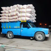 کاه گندم نیسانی