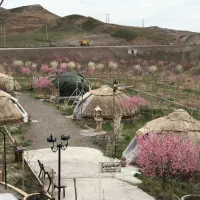 استخدام نیروی آقا و خانم