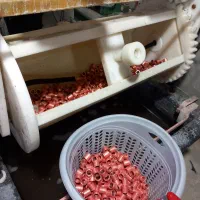 آبکاری مس سیانوری گردان