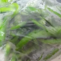 فلفل سبز تازه