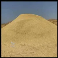 کاە دیم کومپاین