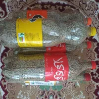 عدس|خوردنی و آشامیدنی|قشلاق دشت, |دیوار