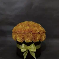 گل رز ربانی