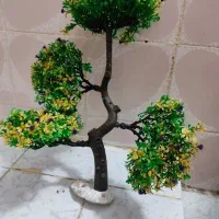 تجهیزات آکواریوم