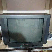 تلویزیون